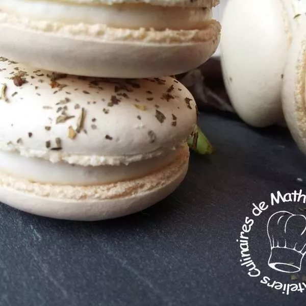 Coques macarons basilic