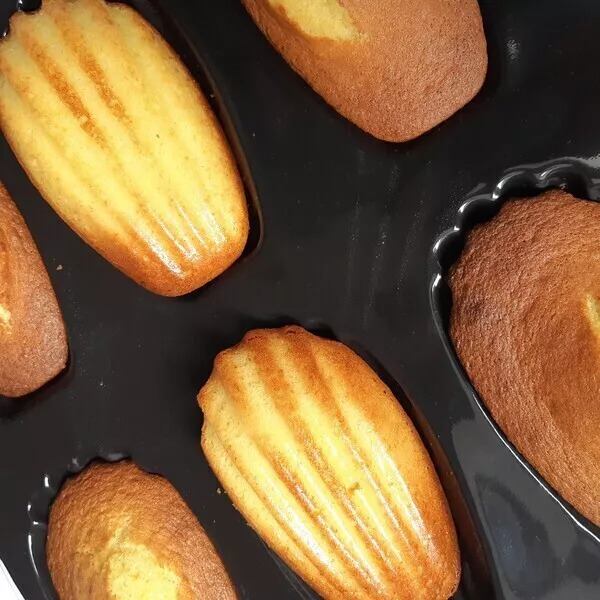 Grandes madeleines au citron