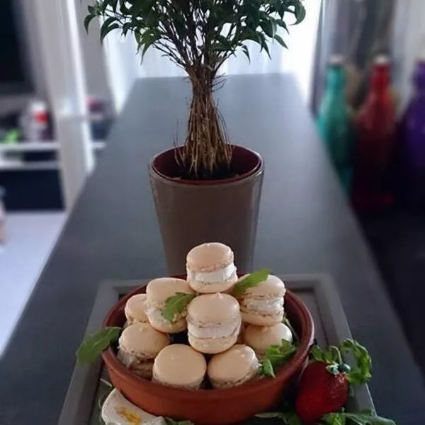 Macarons chèvre & miel