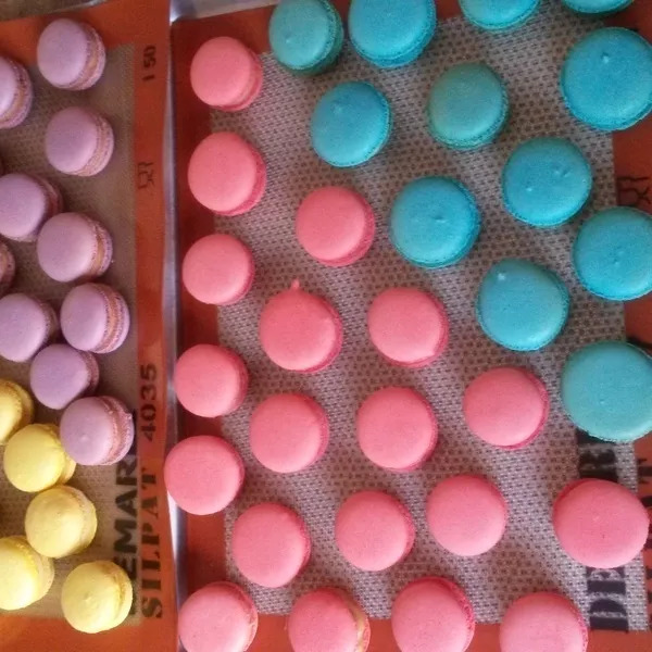 coque macaron