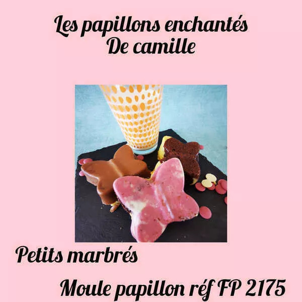 papillons  enchantés de Camille