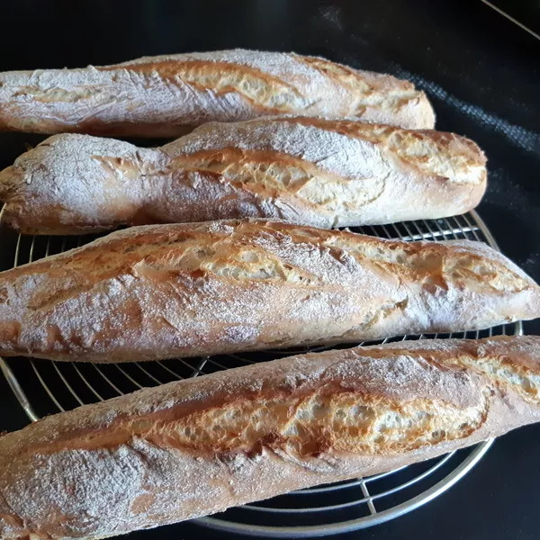 Baguettes magiques rustiques aux graines bio