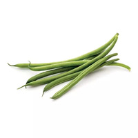 1 kilogramme(s) de haricots verts surgelés et décongelés au préalable