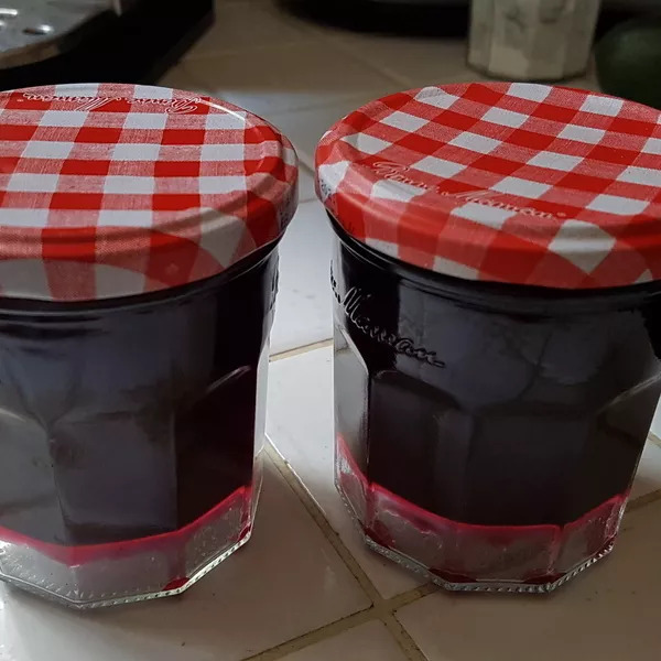 Gelée de cassis du jardin