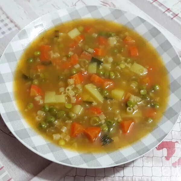 MA SOUPE MINESTRONE