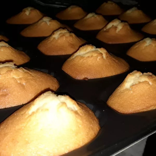 Madeleines facile