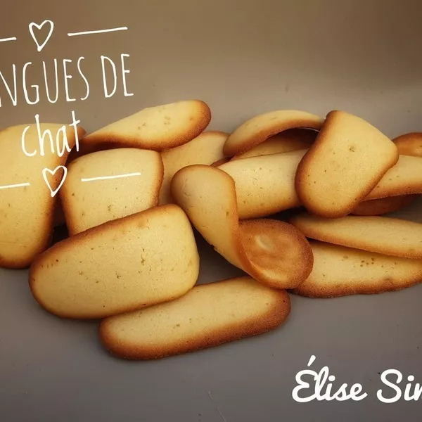 Langues de chat simple et rapide