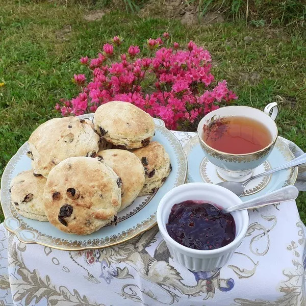 Scones végans