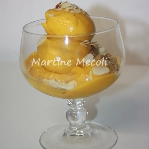 Mix pour glace à la mangue