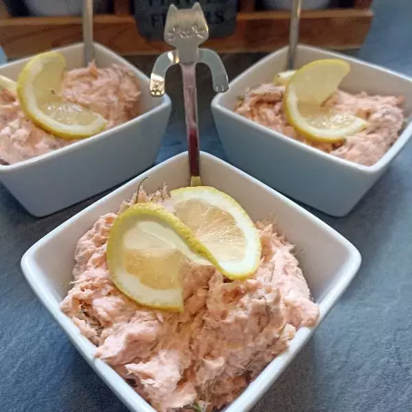 Tartinade aux deux saumons