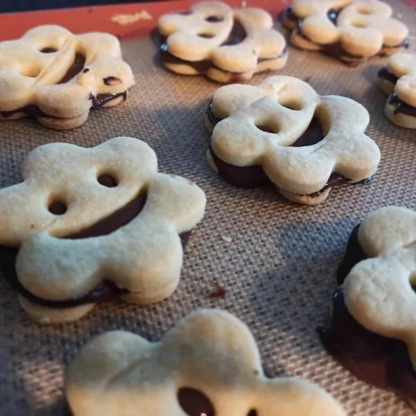 Biscuits au chocolat façon Prince de Lu