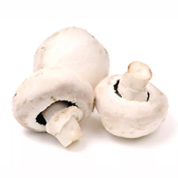 Champignons de Paris vapeur