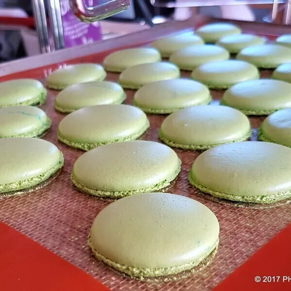 Coques de macarons (50 macarons env.)