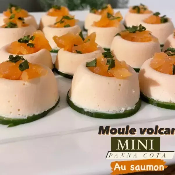 panna cotta saumon 