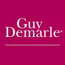 guy_demarle_it