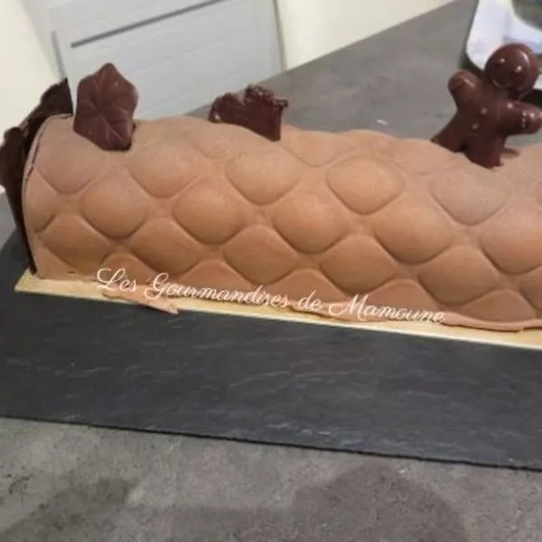 Bûche citron gianduja