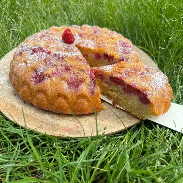 GATEAU IGLOO FRAMBOISES AMANDES