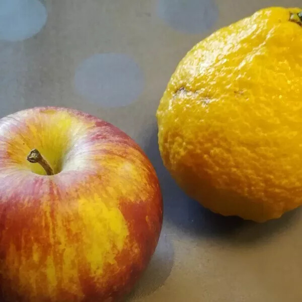 Compote de pommes au yuzu