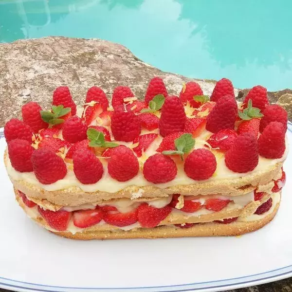 Layer cake fraises et framboises dans le moule Ellipse FLEXIPAN FM 290