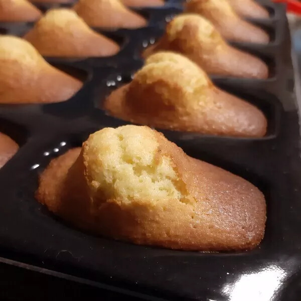 Madeleines 