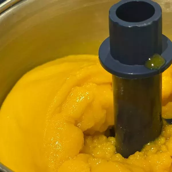 Le sorbet mangue 