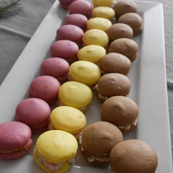 MACARON de Yannick Lefort (inratable)