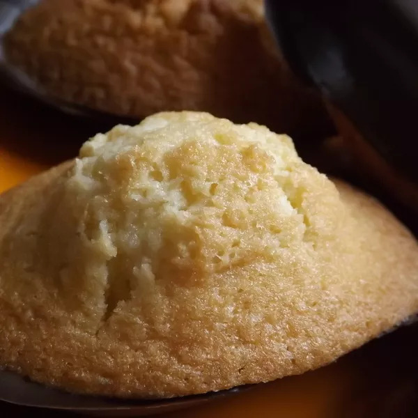 Madeleines sur lit de chocolat