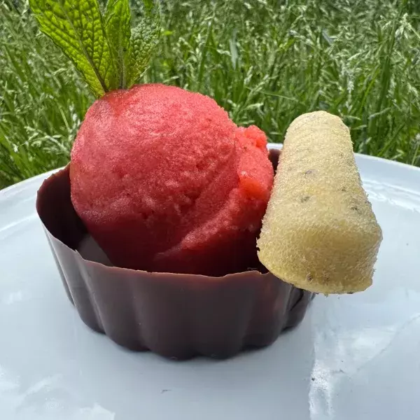 SORBET FRAISES GARIGUETTES ET SA COQUE FLOWER