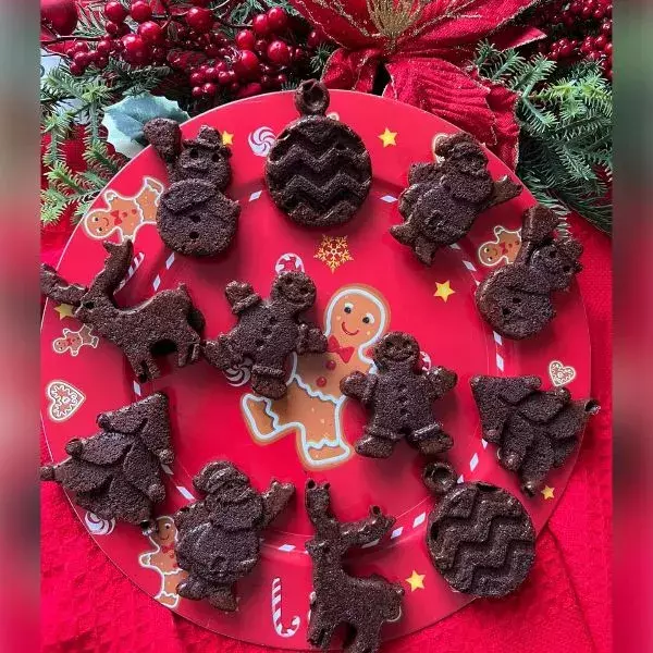 Les 12 Moelleux Magie De Noël 