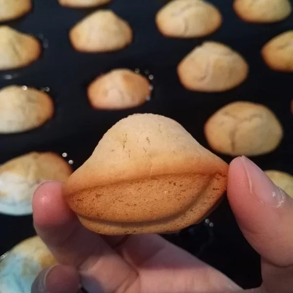 Madeleines Vegan, sans lait, sans oeufs