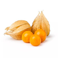 250 gramme(s) de physalis