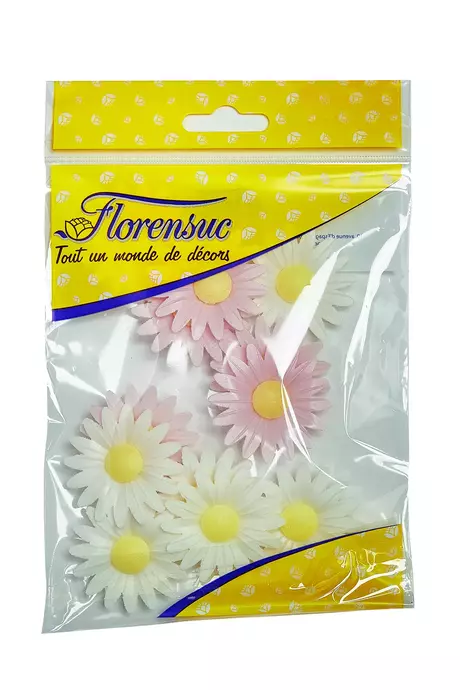 10 marguerites en azyme bio