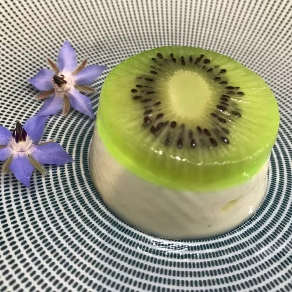 Panacotta Kiwi- chocolat blanc