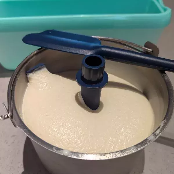 Crème glacée au sésame