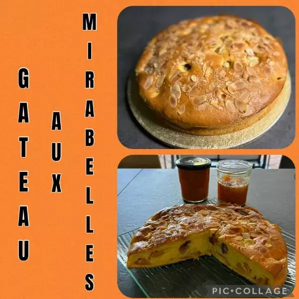 Gâteau aux mirabelles