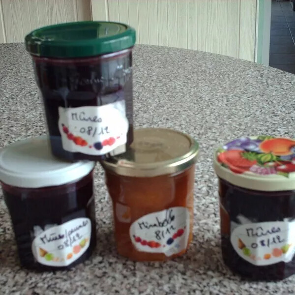 Confiture au Gelsucre (généralités)