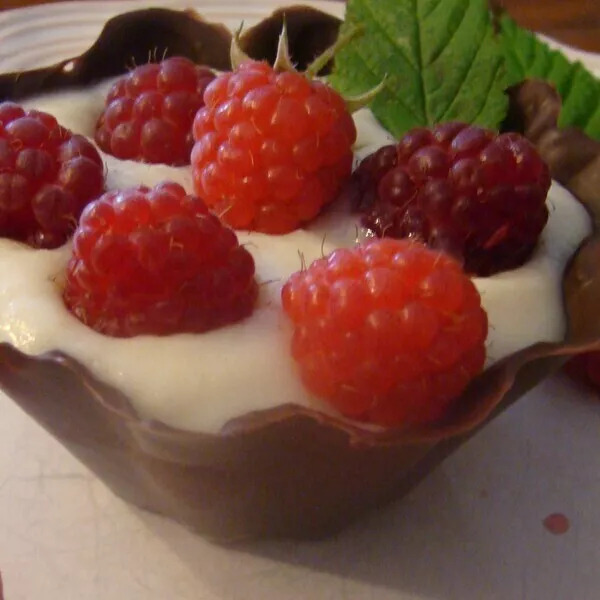 Corolle chocolat noir et sa mousse chocolat blanc mascarpone sur lit de framboises