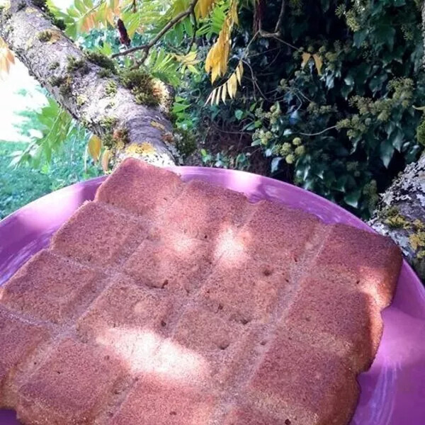 Brownie au chocolat praliné 