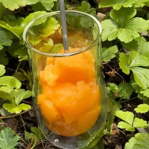 Sorbet Aperol Spritz