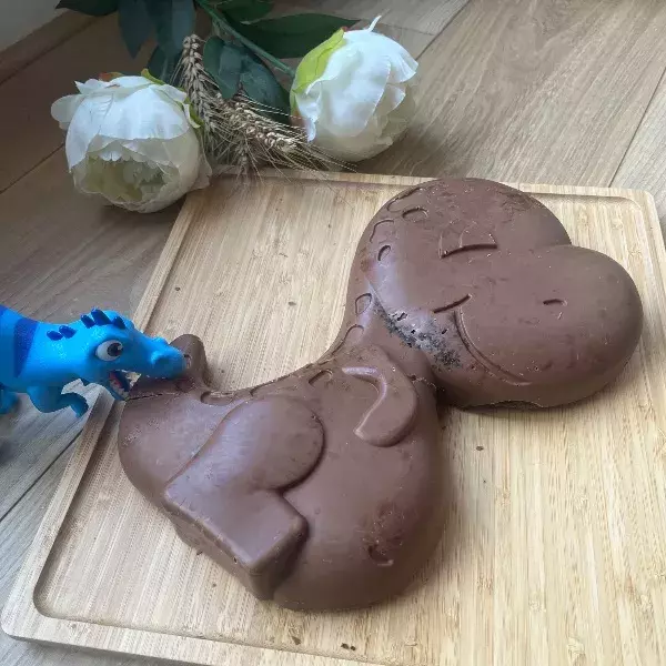Dino chocolat courgette 