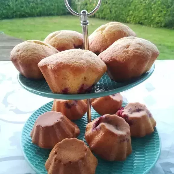 Cakes léger aux myrtilles dans le moule briochettes FP 4282