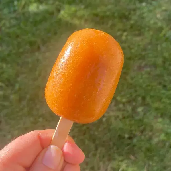 Sorbet à la mirabelle