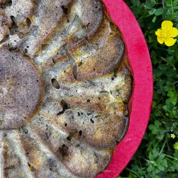 Mendiant aux pommes et noix