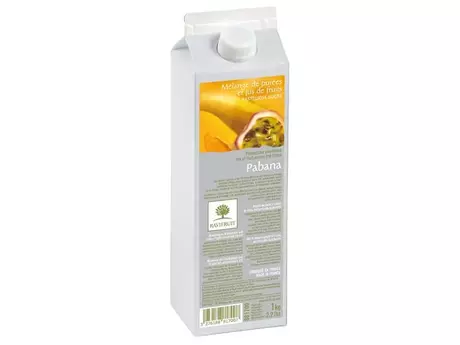 Purée de fruits exotiques Pabana 1kg