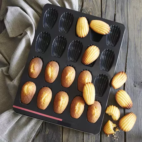 Moule 20 Madeleines OHRA®