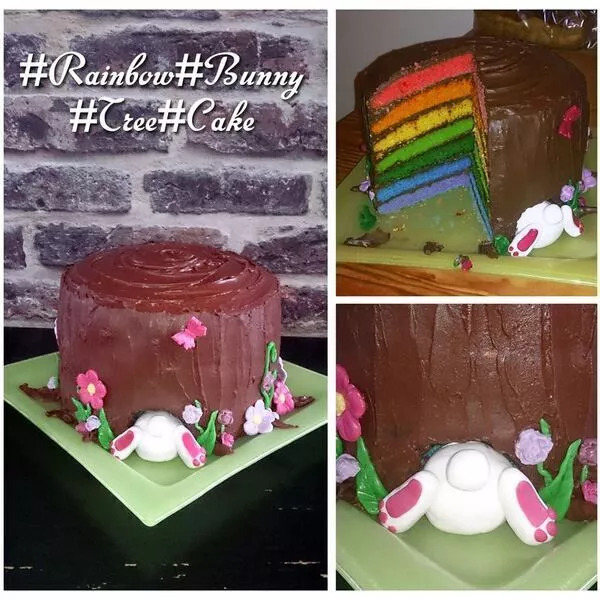 { Rainwbow cake The rabbit hole }