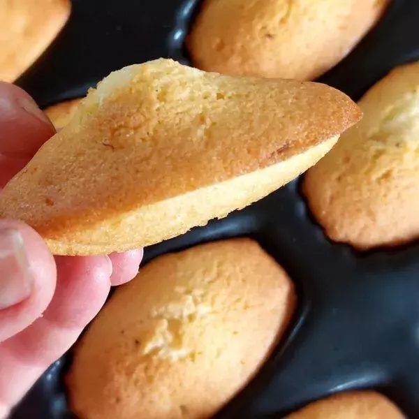 Madeleines au citron 