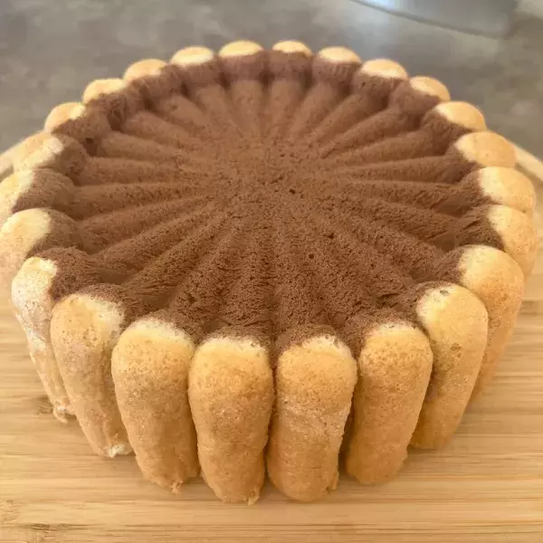 Charlotte mousse au chocolat