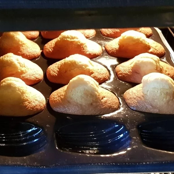 Madeleines vanille