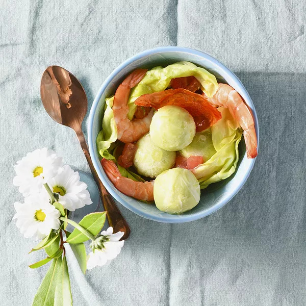 Sorbet à l’avocat